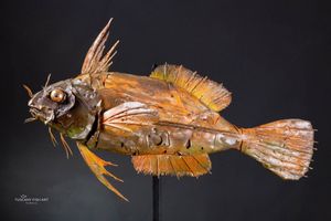 Sea Raven - scultura in materiali di recupero